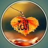 user895858984884