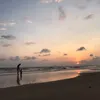 pendekar_penyu88