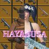 hayabusa_pubg_