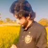 maliktokeer70550