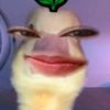 _emptyyt