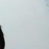mdikco