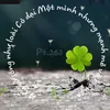 ☘️ CỎ DẠI ☘️