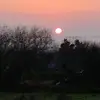 alex_walsh0507