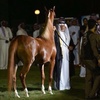 khalidalqahtani088