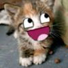nig_xxx3