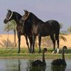 bndr_58