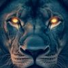user1225209340360