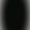 plg349