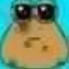 p4nsususu