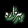 muhammadirshad5586