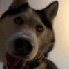 luna_and_rylee