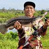 lathif735