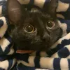 slothdunkinl
