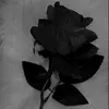 dead_rose2121