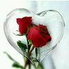 shanavasshanu8261