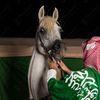 ...هيثم 🇸🇦