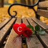 silent_c6