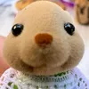 helo_oo