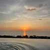 ngockim181177