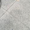 omarcervantes675