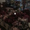 brownies_710