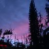 light_in_the_darkness
