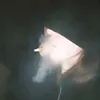 vmqiiii