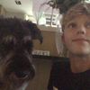 stef_welle
