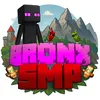 Bronx SMP | Semi Anarquico