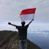 t4npa_nma