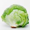 headoflettuce6