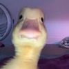 uio7_x