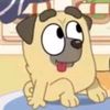 buddy_fan15