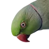 hxdlolbxh