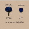 safahassan165