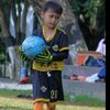bf_alandes