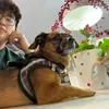 charlyyyyp