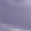 florcvelez