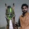 fahadg235