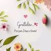 claudinhadodo
