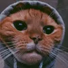 sr_enano.pubg