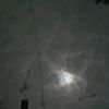 cardona__79