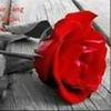 rd_dj12