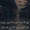waleed3728