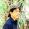naimatali499