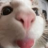ourhopejh0pe