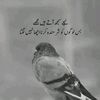 meharsaab026