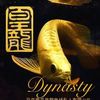 Dynasty Aquatic