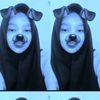 mut.imuppp2011